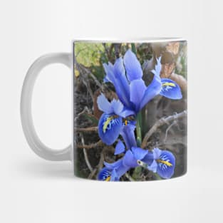 Mini Blue Iris Mug